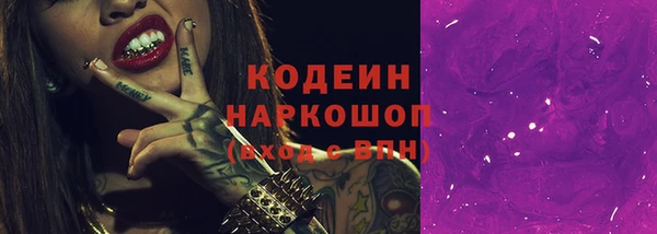 Альфа ПВП Горняк