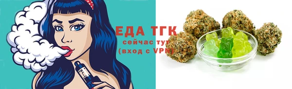 Альфа ПВП Горняк