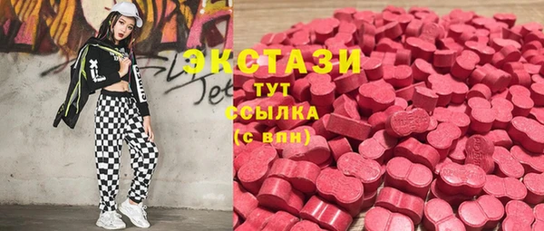 Альфа ПВП Горняк