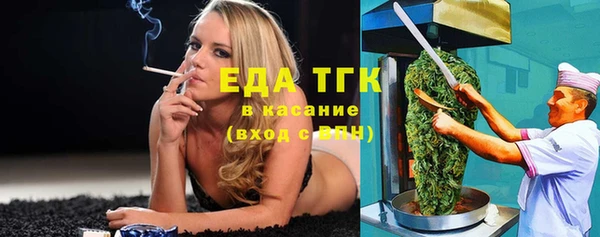 Альфа ПВП Горняк