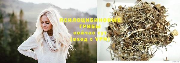 гашик Горнозаводск
